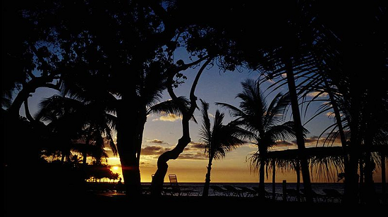 Source: Wikimedia Commons